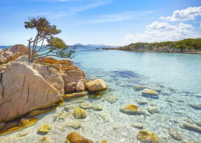 Le Residenze Del Centro